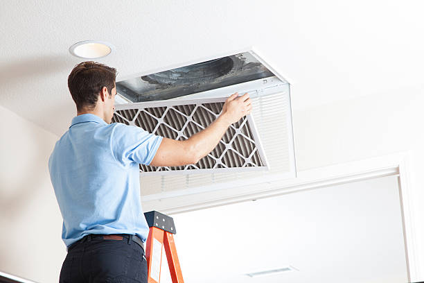 Best HVAC Air Duct Cleaning  in Mallory, WV